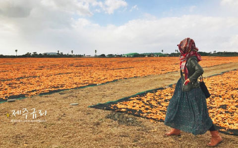 제주여행공유 사진