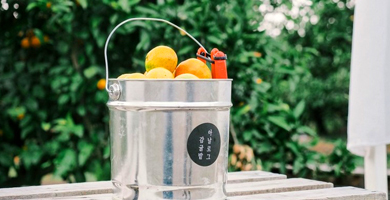 아날로그 감귤밭