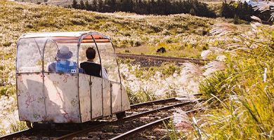 제주레일바이크