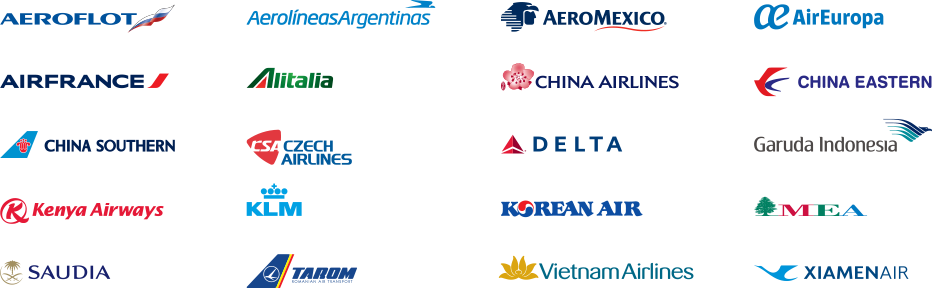 스카이팀 회원 로고들