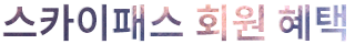 스카이패스 회원 혜택